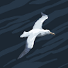 annkaz7077
